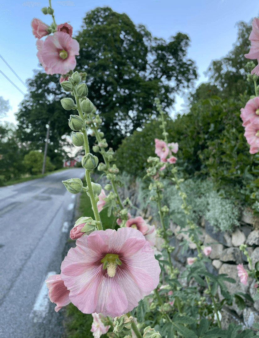 Fritidshus, Floget 410, Västra Tunhem, Vänersborg