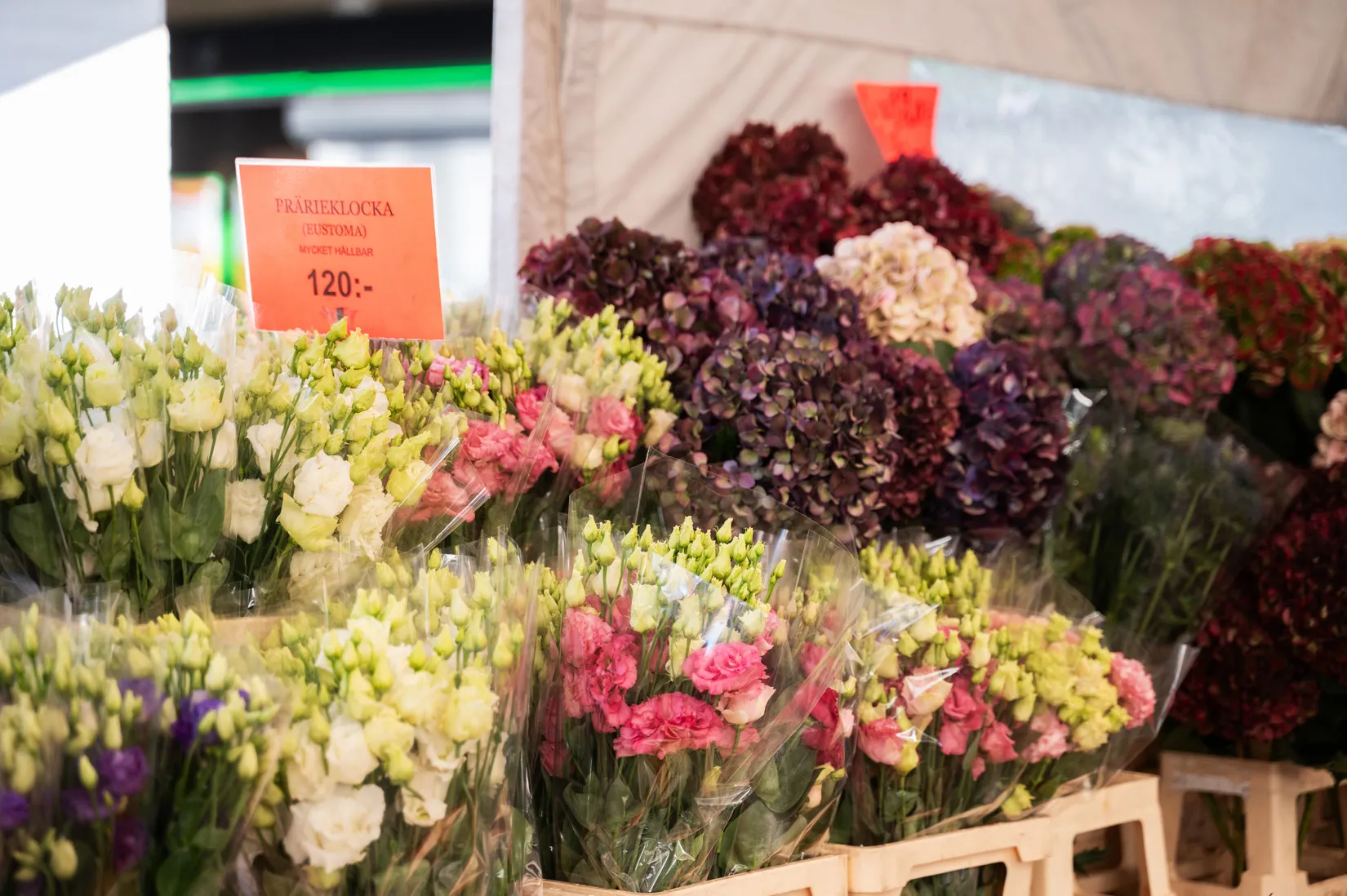 Bostadsrätt, Kata Dalströms gata 13, Fruängen, Stockholm