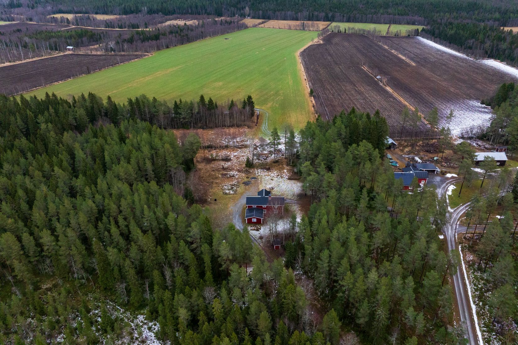 Gård/Skog, Skogshägna 8, Robertsfors
