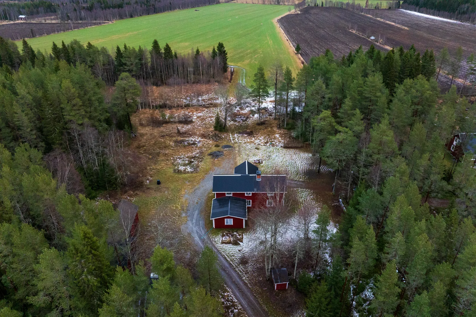 Gård/Skog, Skogshägna 8, Robertsfors