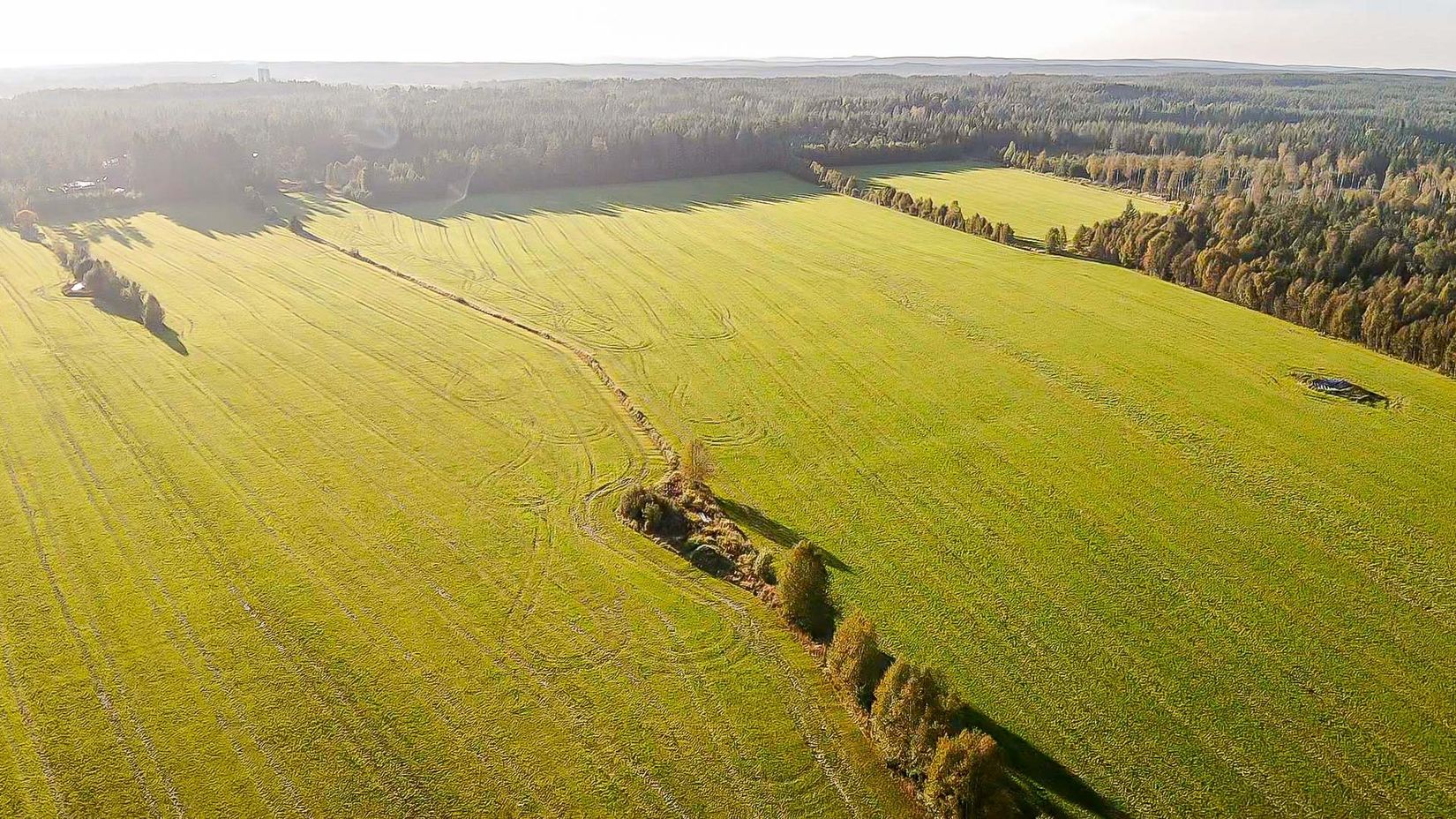 Gård/Skog, Skogshägna 8, Robertsfors