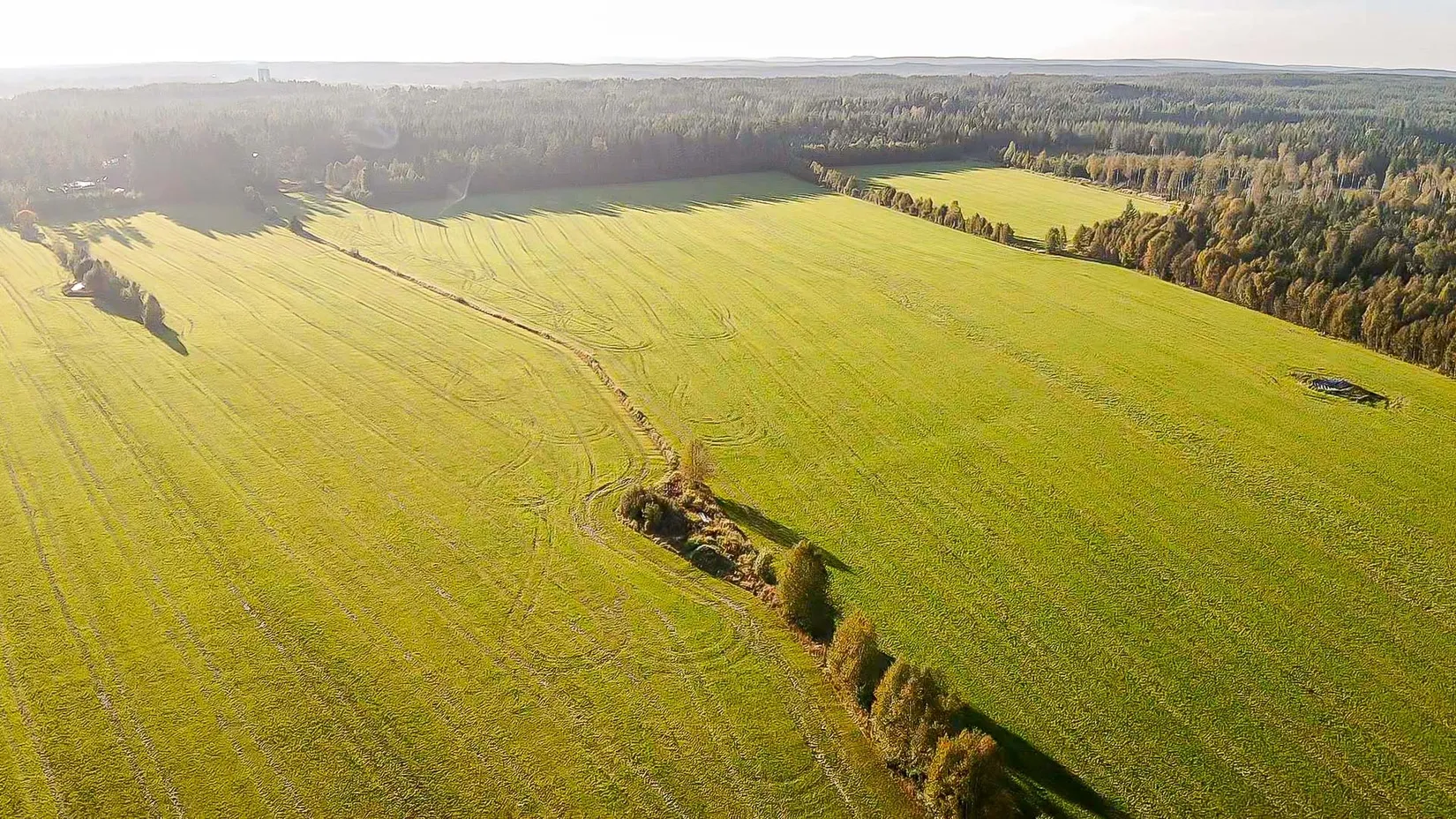 Gård/Skog, Skogshägna 8, Robertsfors