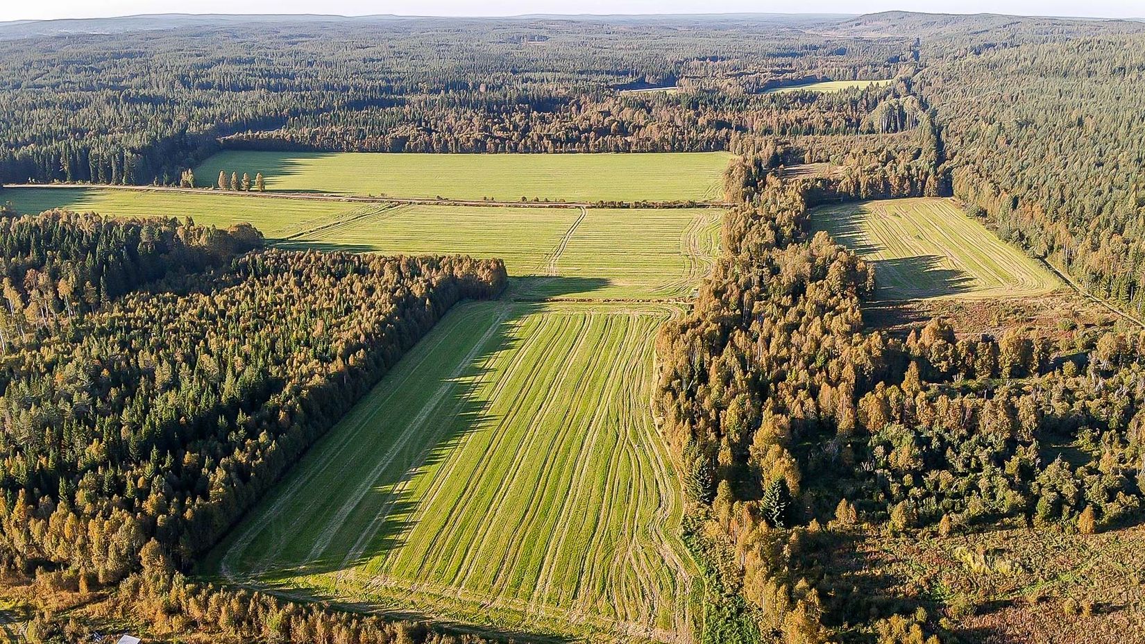 Gård/Skog, Skogshägna 8, Robertsfors