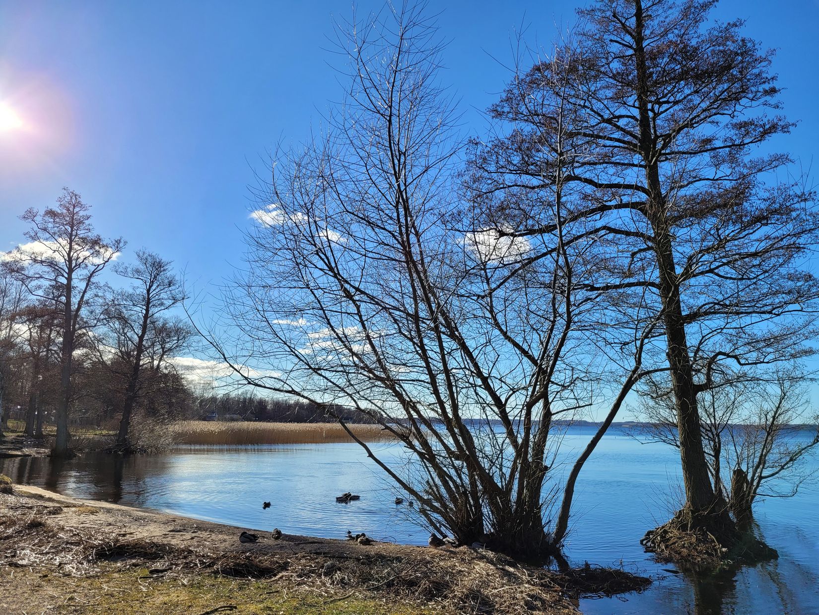 Villa, Osbyholm Timotejvägen 11, Osbyholm, Hörby