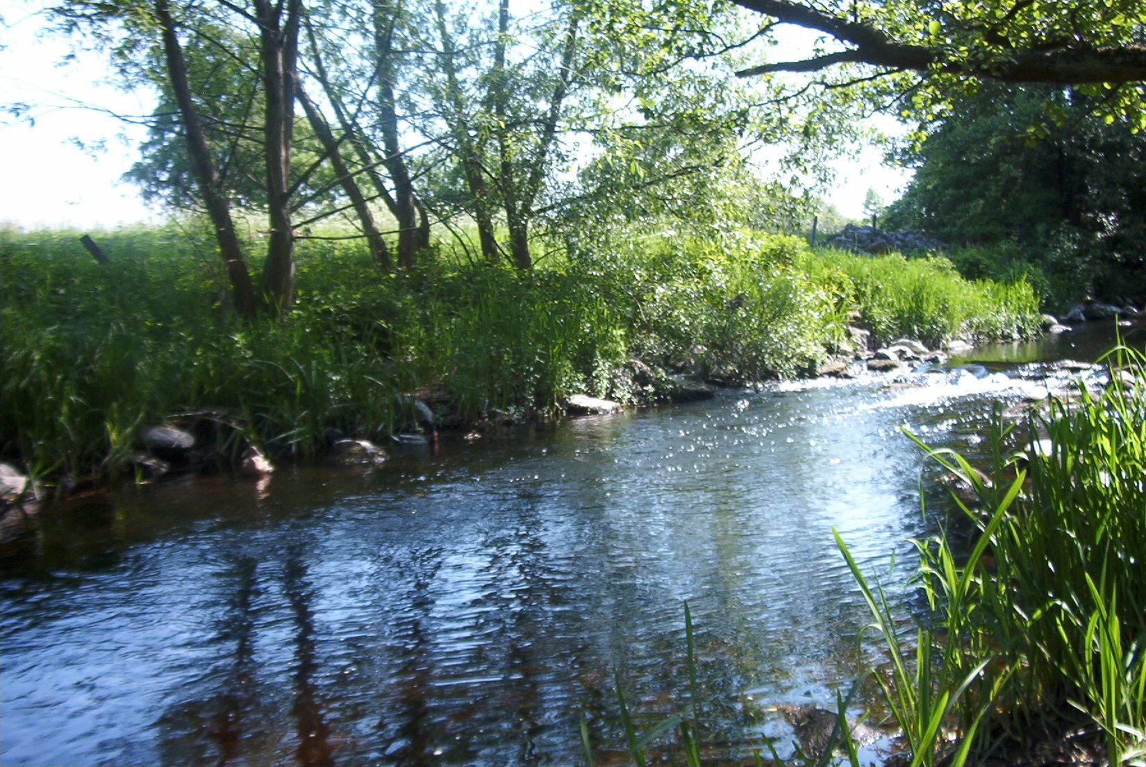 Villa, Osbyholm Timotejvägen 11, Osbyholm, Hörby