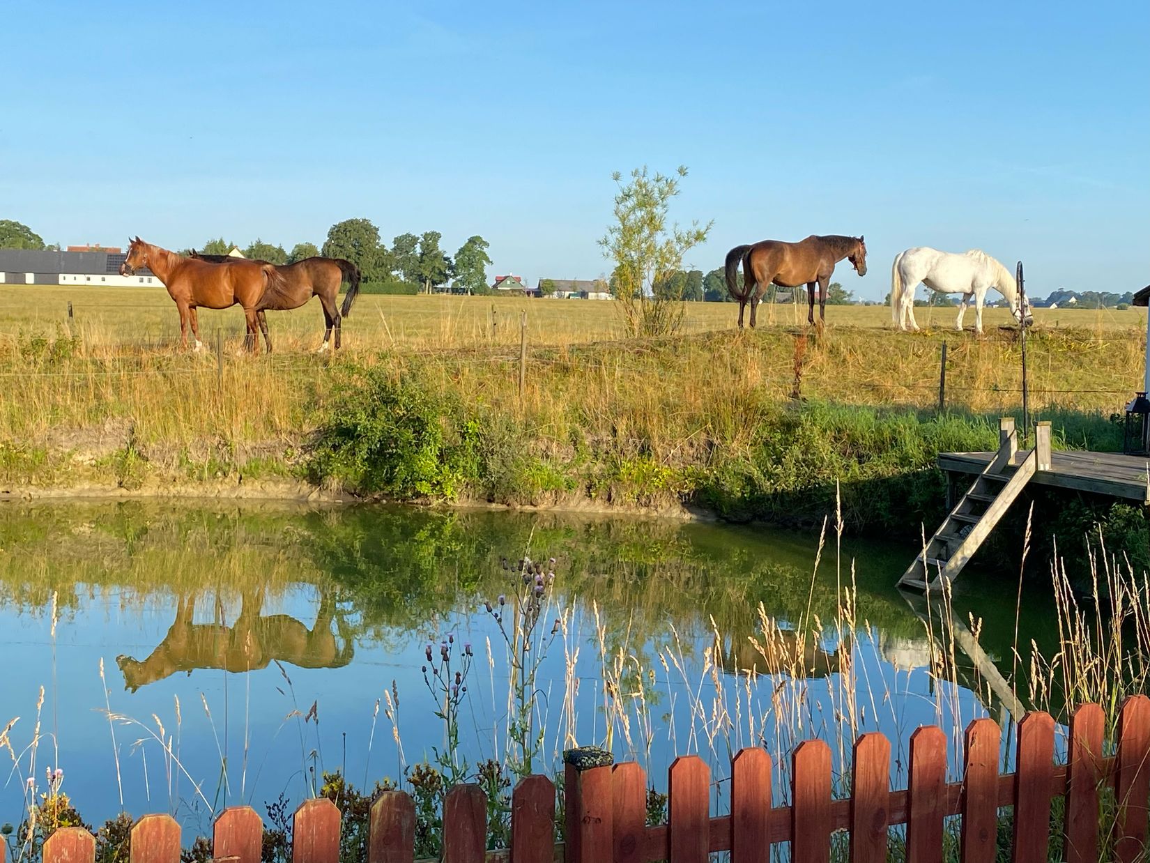 Villa, Hemmesdynge byaväg 61-11, Söderslätt, Trelleborg