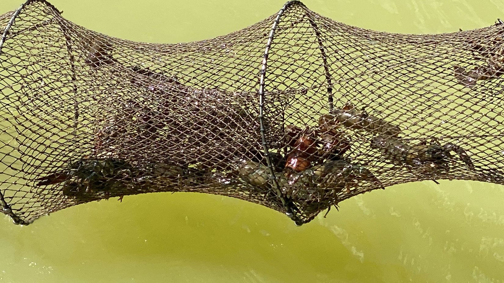 Villa, Hemmesdynge byaväg 61-11, Söderslätt, Trelleborg