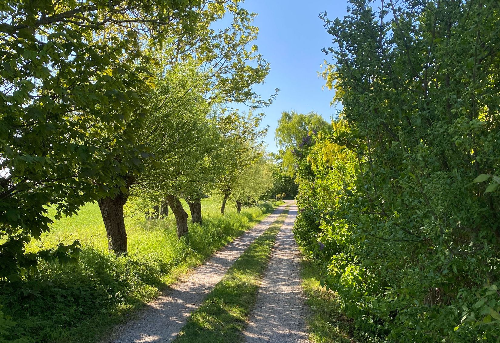 Villa, Hemmesdynge byaväg 61-11, Söderslätt, Trelleborg