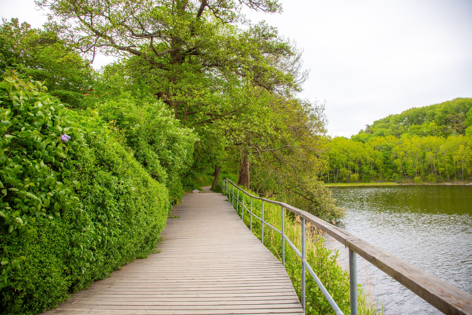 Bostadsrätt, Ripstigen 3, Bergshamra, Solna