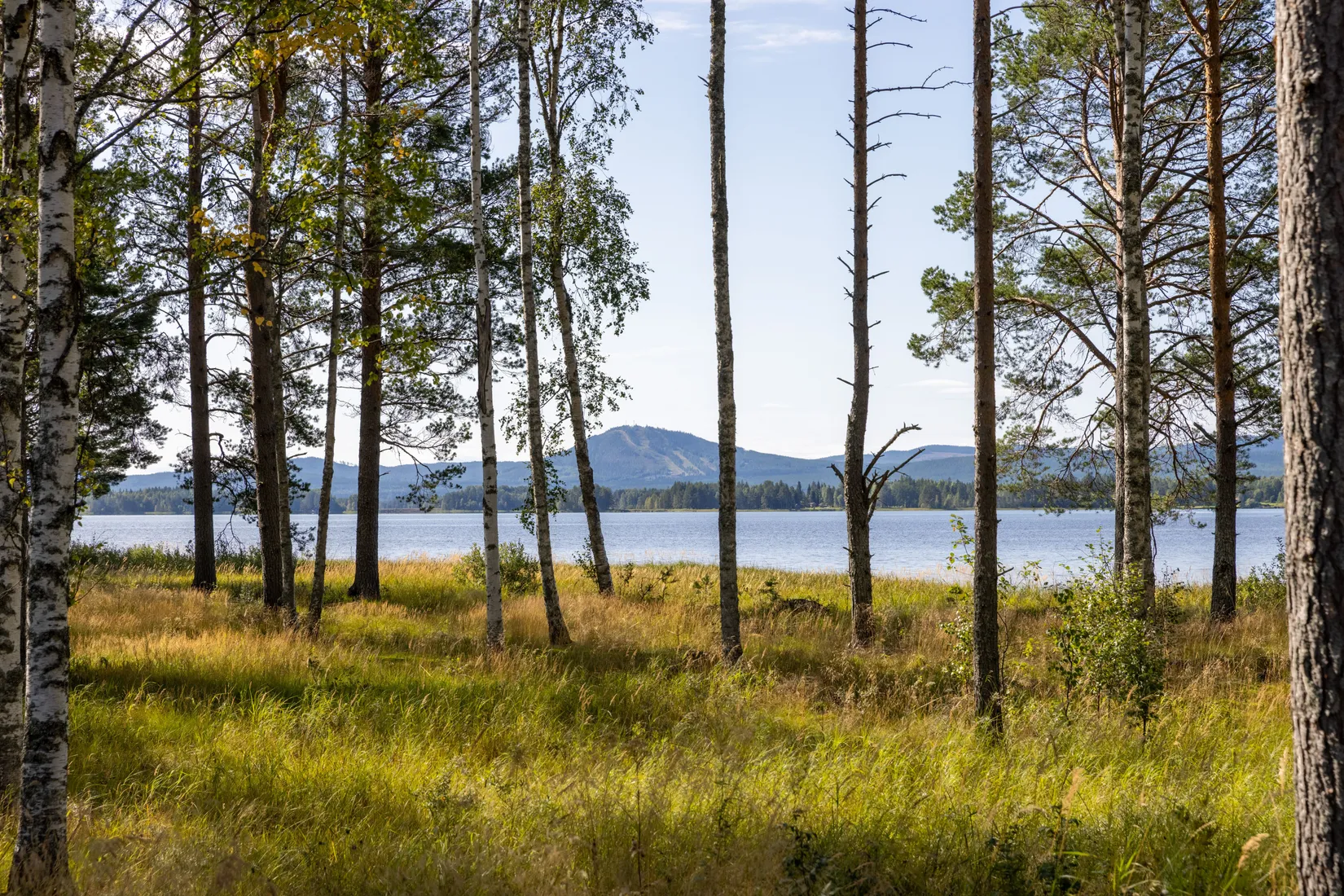 Villa, Sturkittvägen 8, Vinäs, Mora