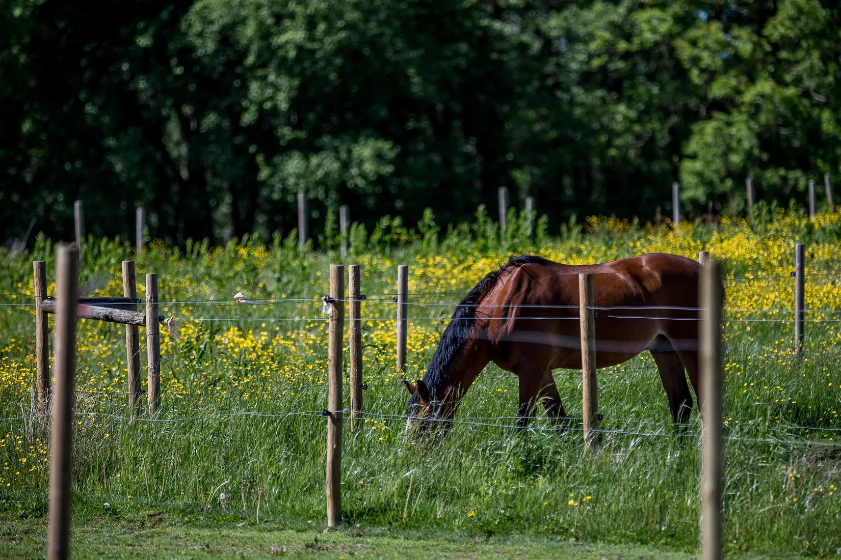 Bostadsrätt, Skolvägen 6g Lgh 1103, Härryda