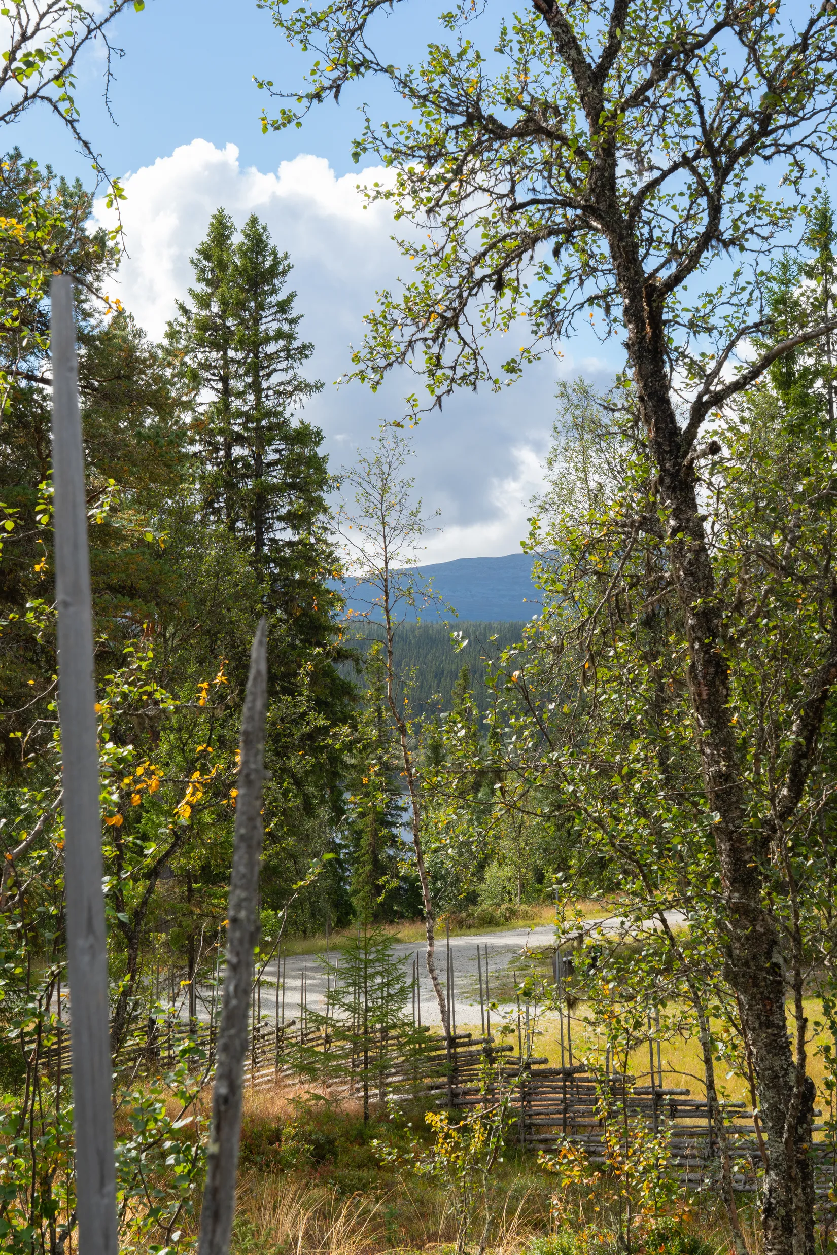 Fritidshus, Messlingen Genvägen 2, Härjedalen