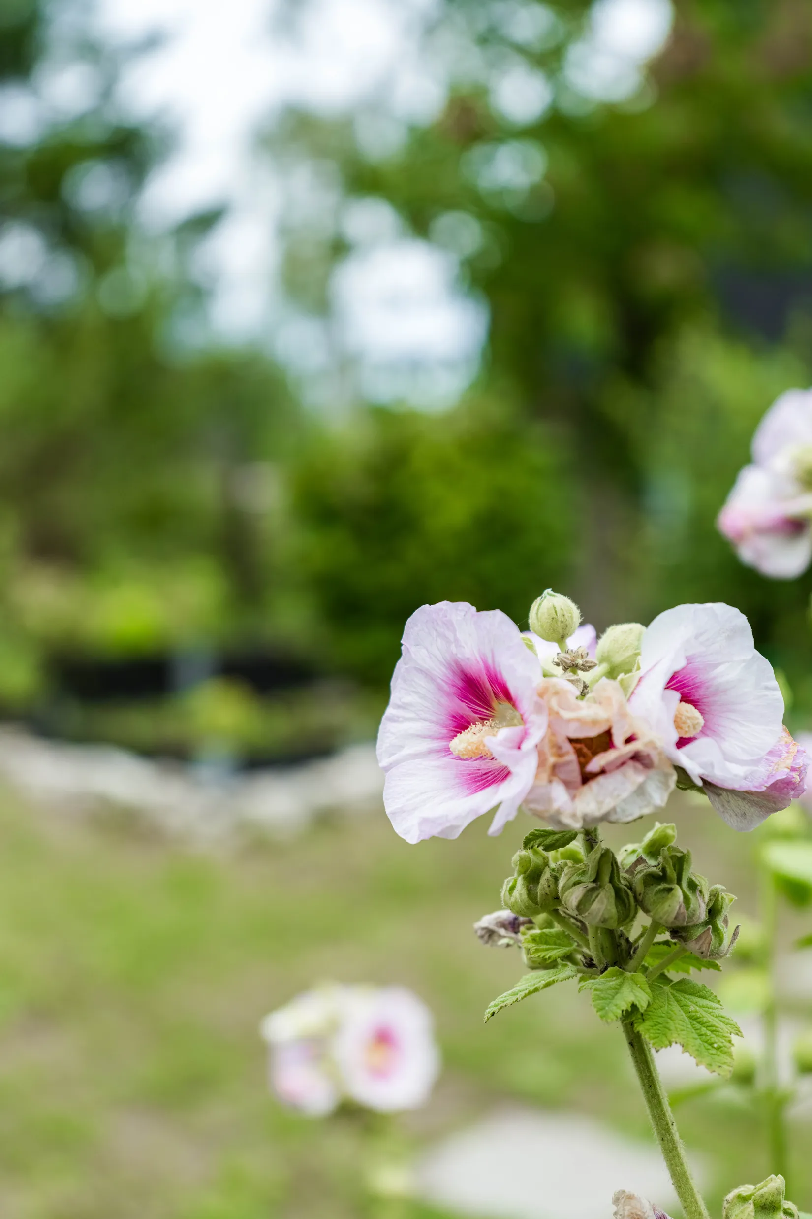Bostadsrätt, Västerhejde Hallbrosvägen 20B, Visby - Västerhejde, Gotland