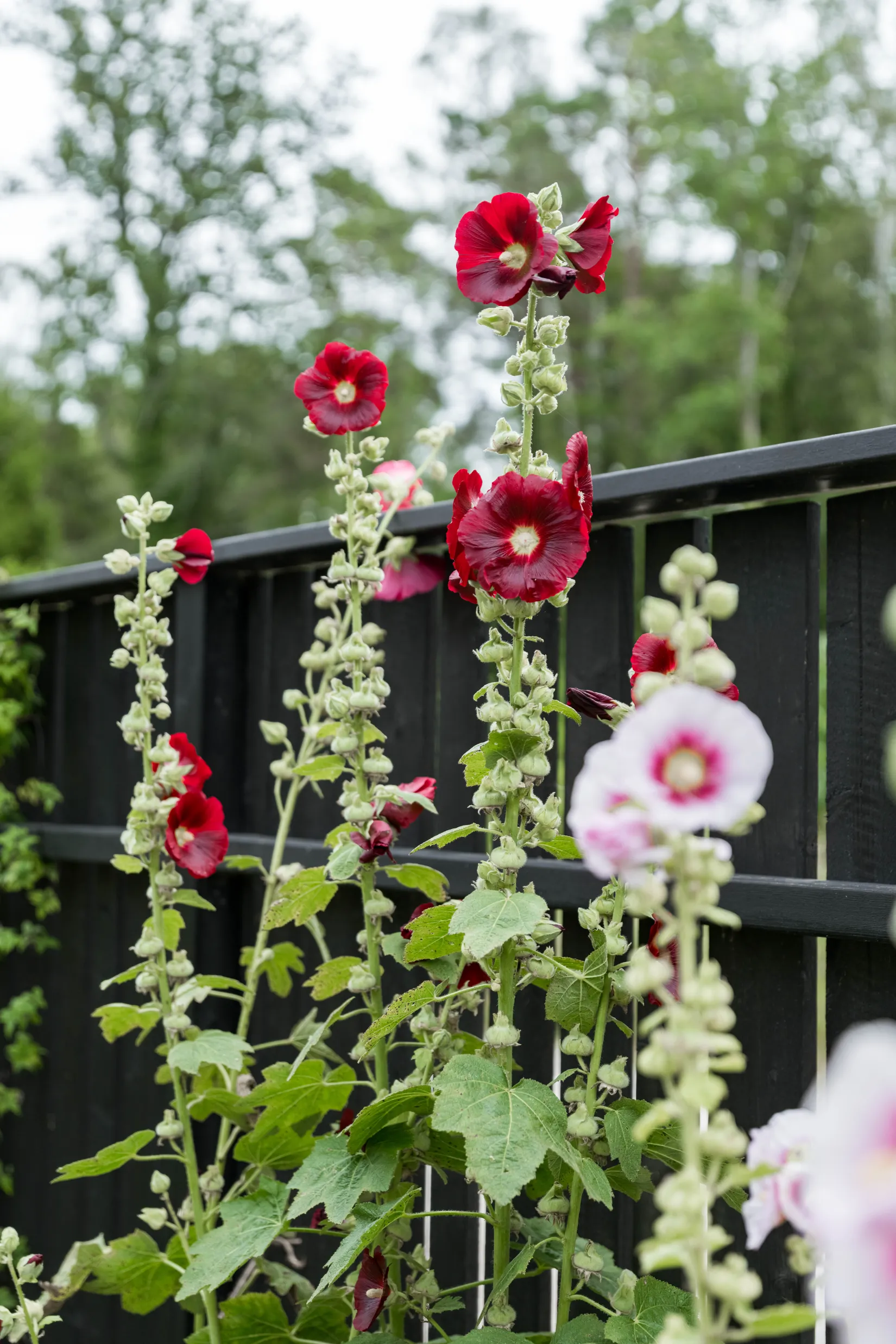 Bostadsrätt, Västerhejde Hallbrosvägen 20B, Visby - Västerhejde, Gotland