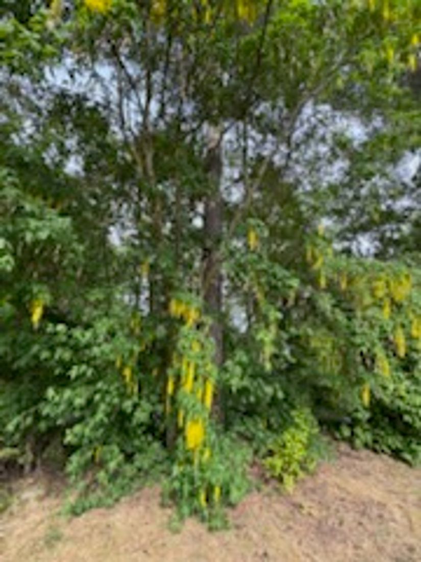 Villa, Granitvägen 48, Viggbyholm - Sjösidan, Täby