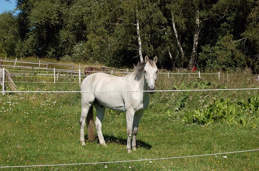 Villa, Granitvägen 48, Viggbyholm - Sjösidan, Täby