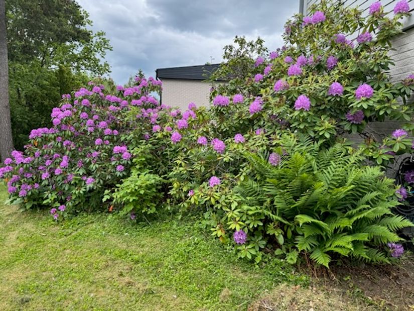 Villa, Granitvägen 48, Viggbyholm - Sjösidan, Täby