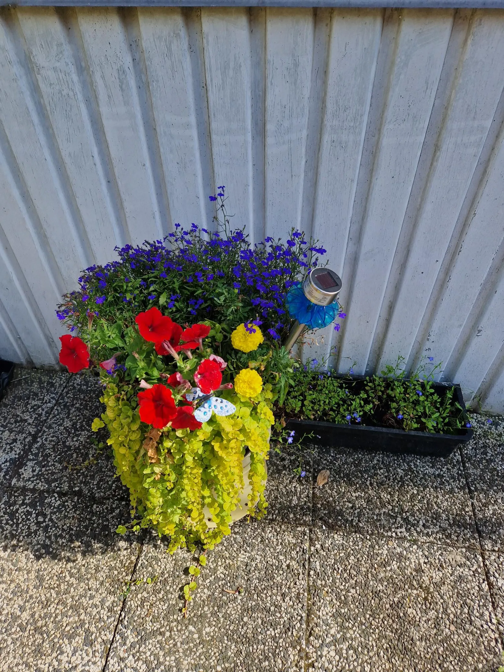 Bostadsrätt, Kvartettgatan 50, Högaholm, Malmö