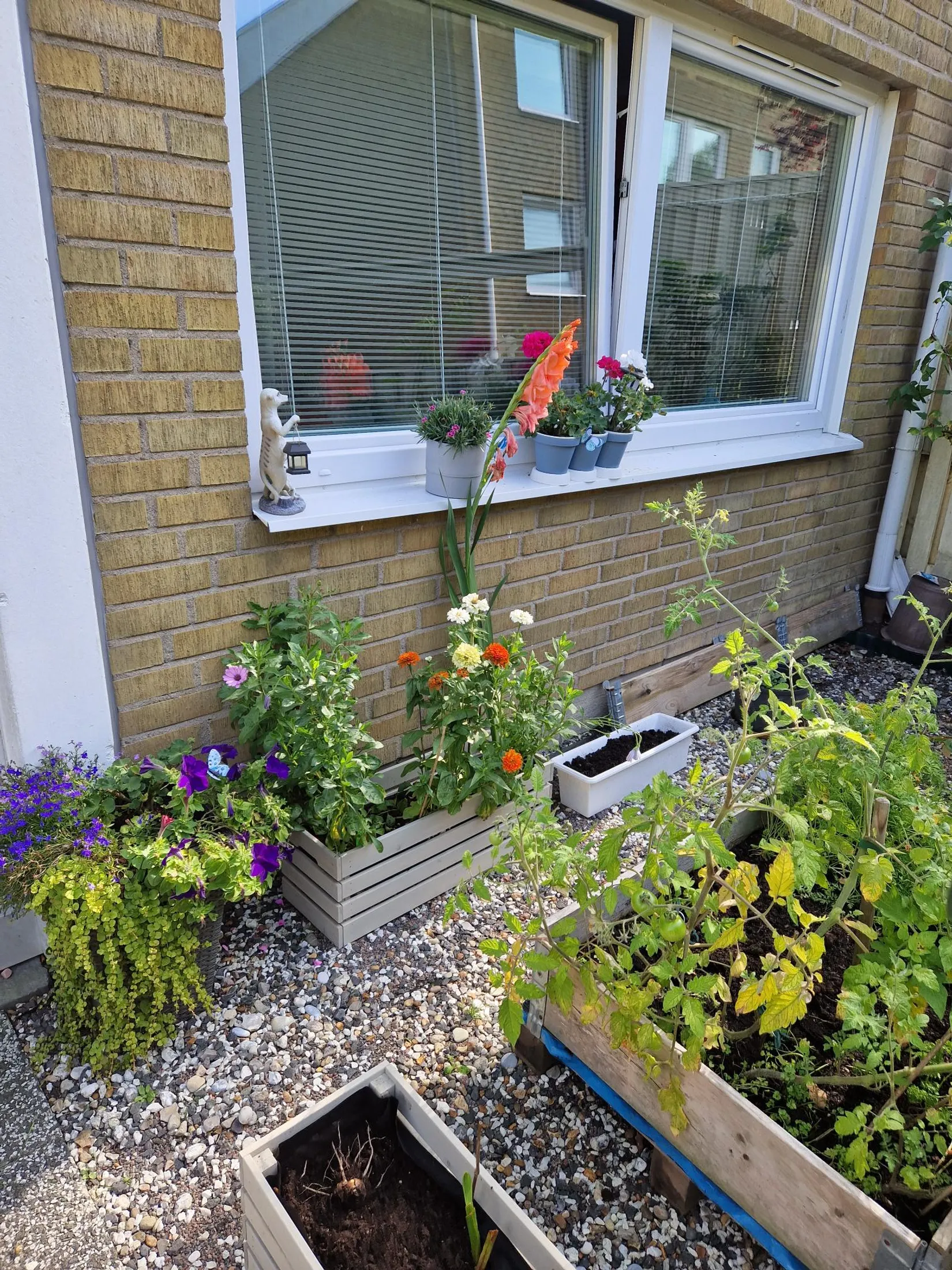 Bostadsrätt, Kvartettgatan 50, Högaholm, Malmö