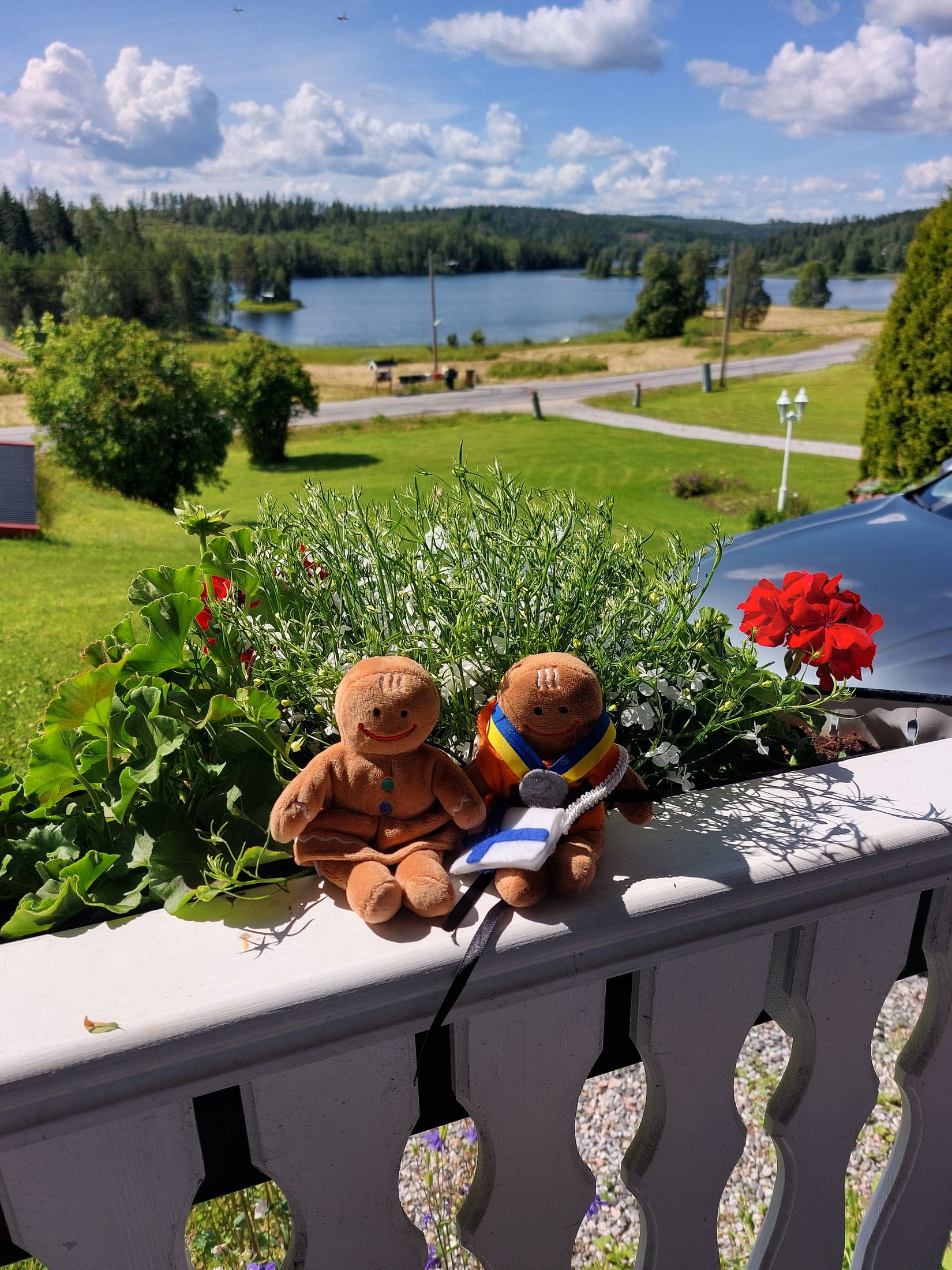 Gård/Skog, Huljen 216, Huljen, Sundsvall