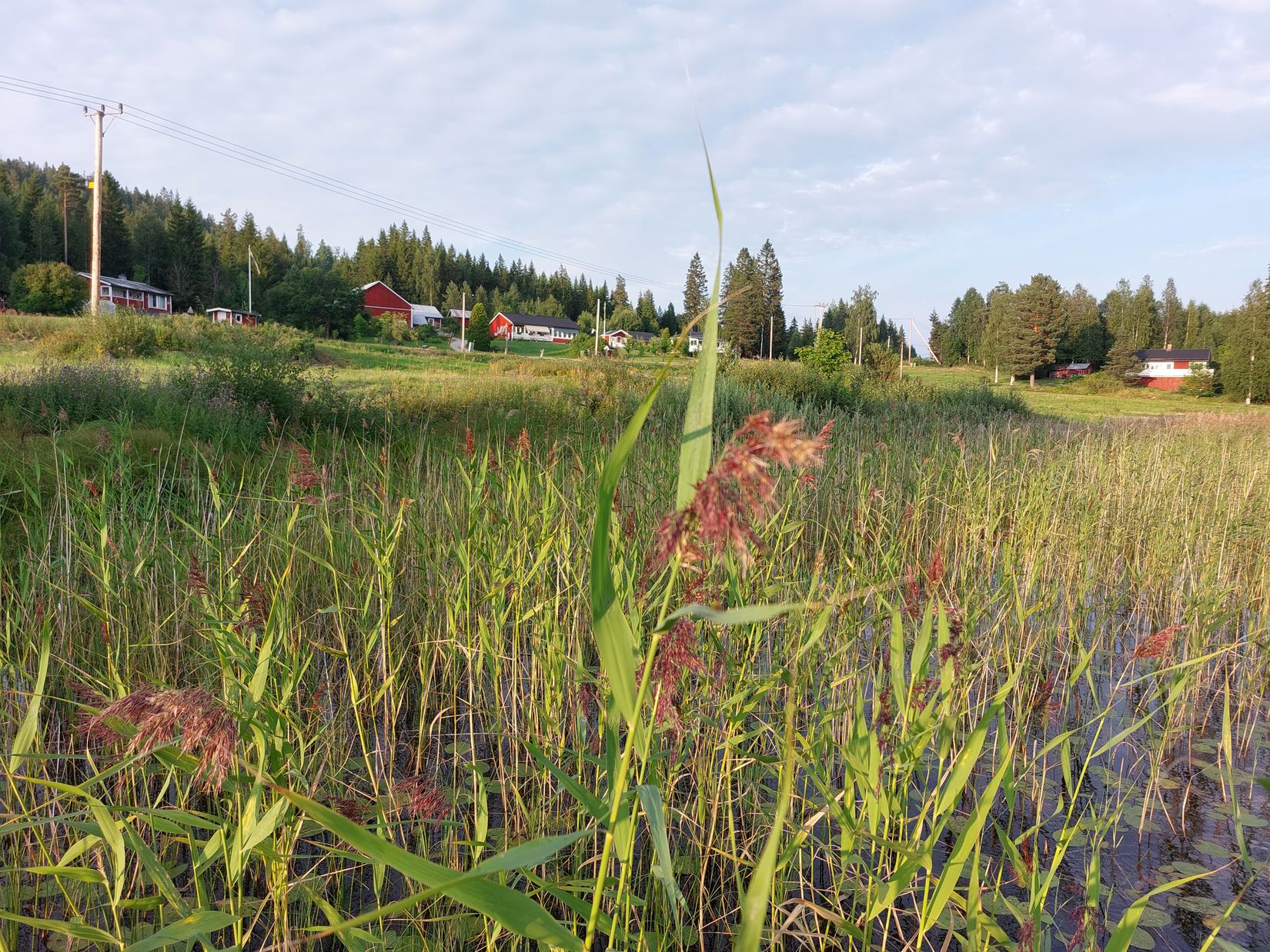 Gård/Skog, Huljen 216, Huljen, Sundsvall
