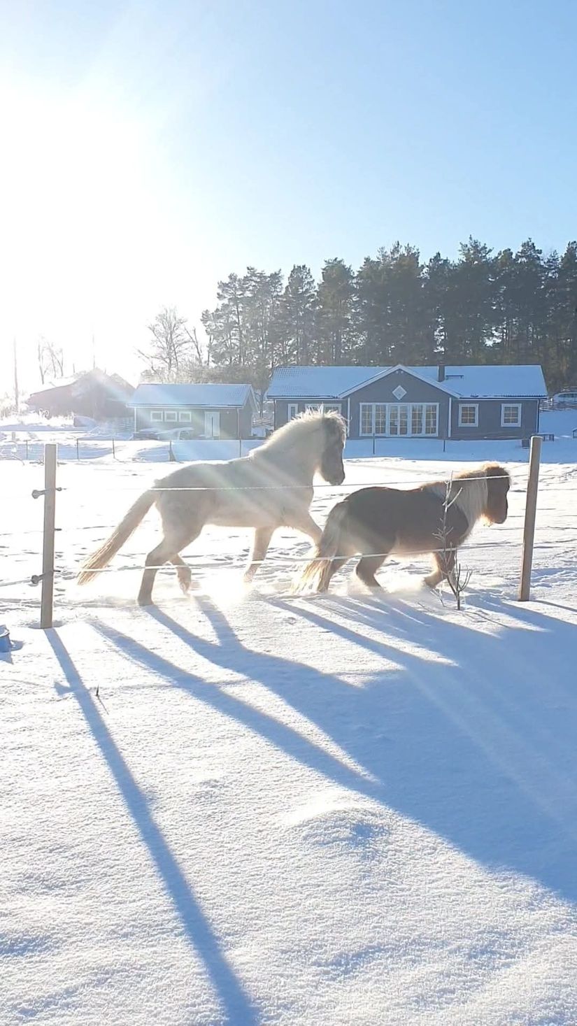 Villa, Kvickdal 4, Mariefred, Strängnäs