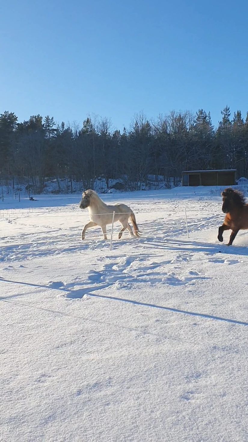 Villa, Kvickdal 4, Mariefred, Strängnäs