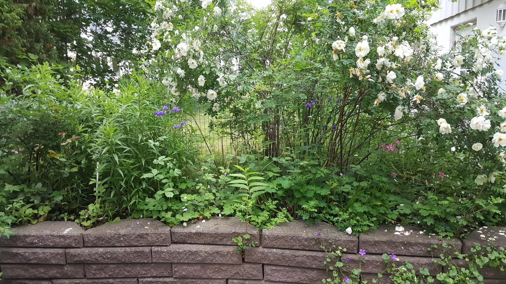 Villa, Trångsundsvägen 50B, Fornudden-Persudde, Tyresö