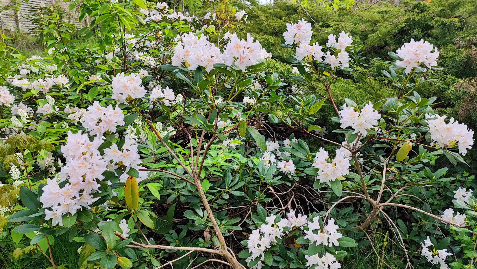 Villa, Trångsundsvägen 50B, Fornudden-Persudde, Tyresö