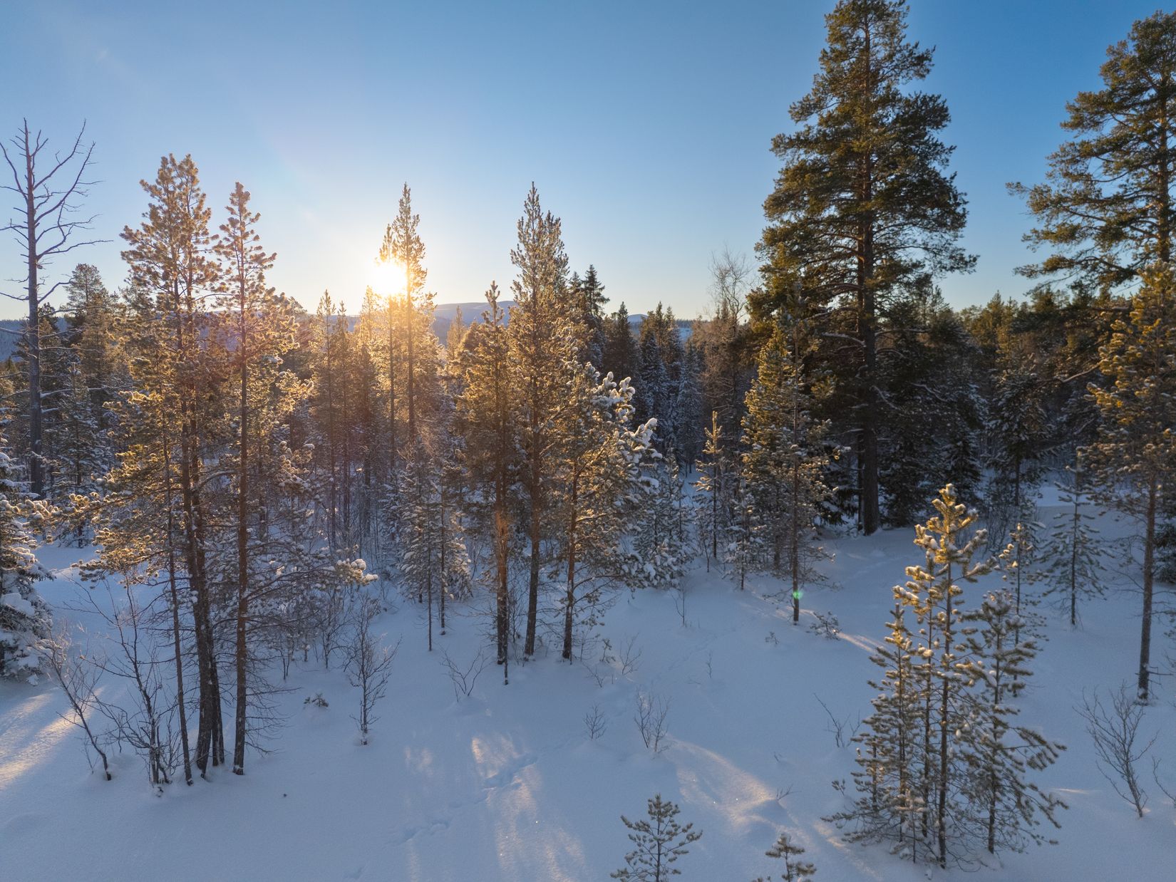 Fritidshus, Högbäcksvägen 49, Härjedalen