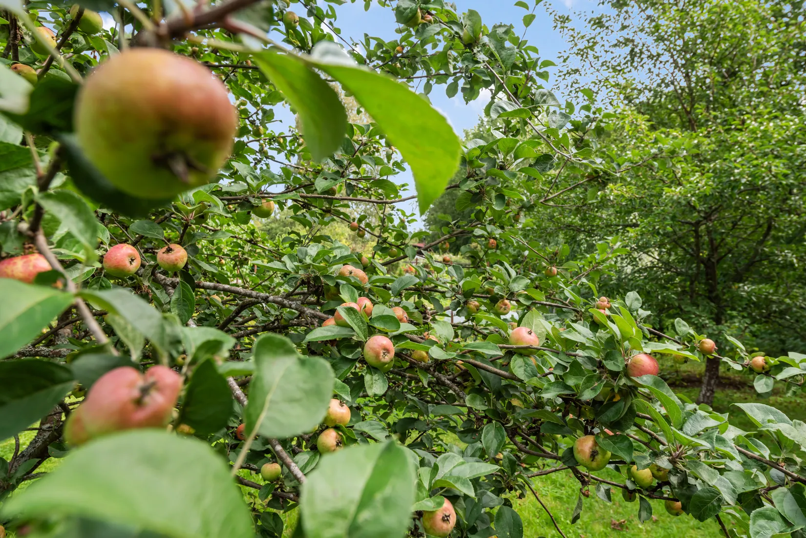 Fritidshus, Smedsmoravägen 36, Norrtälje