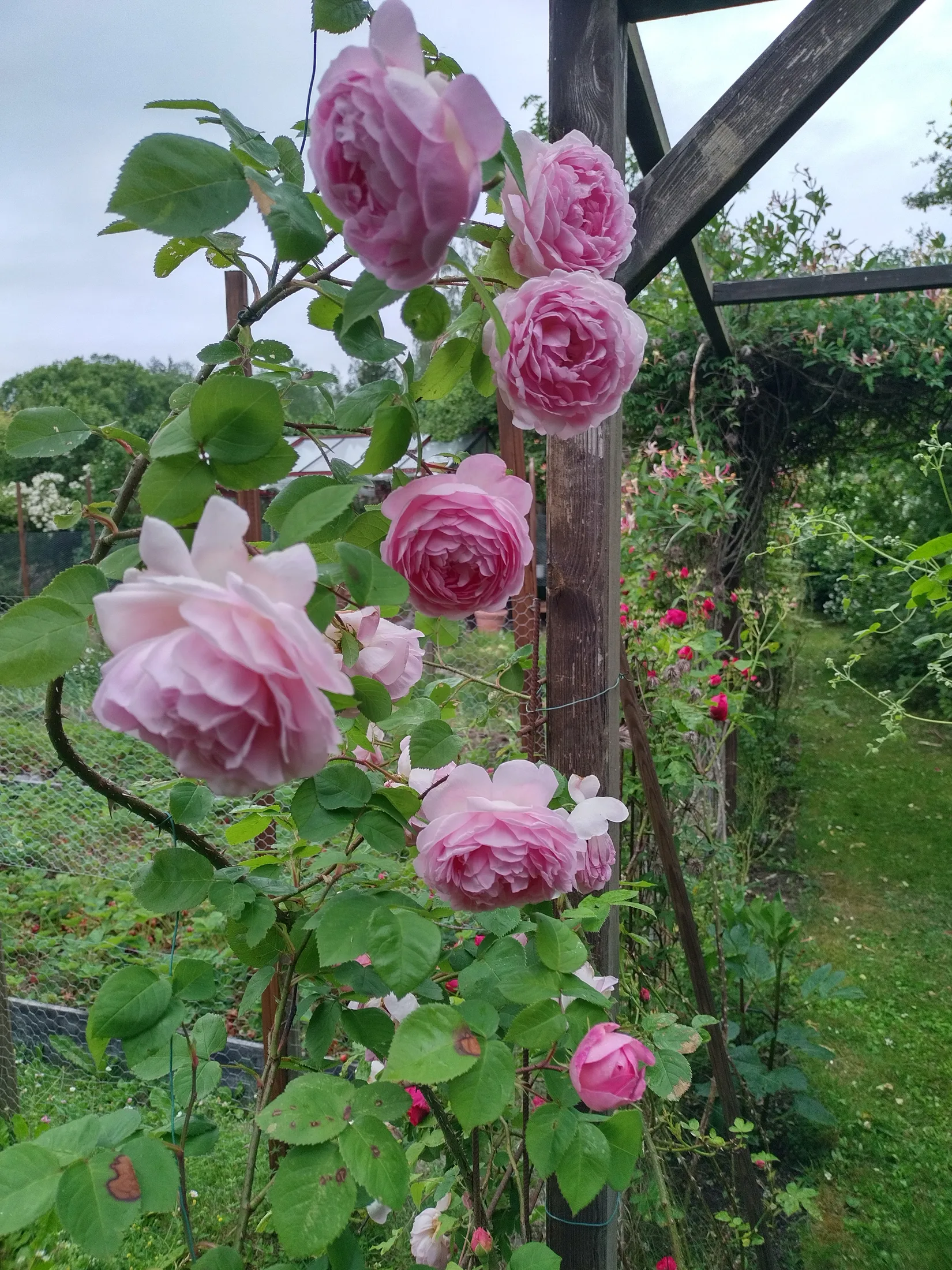 Fritidshus, Smedsmoravägen 36, Norrtälje