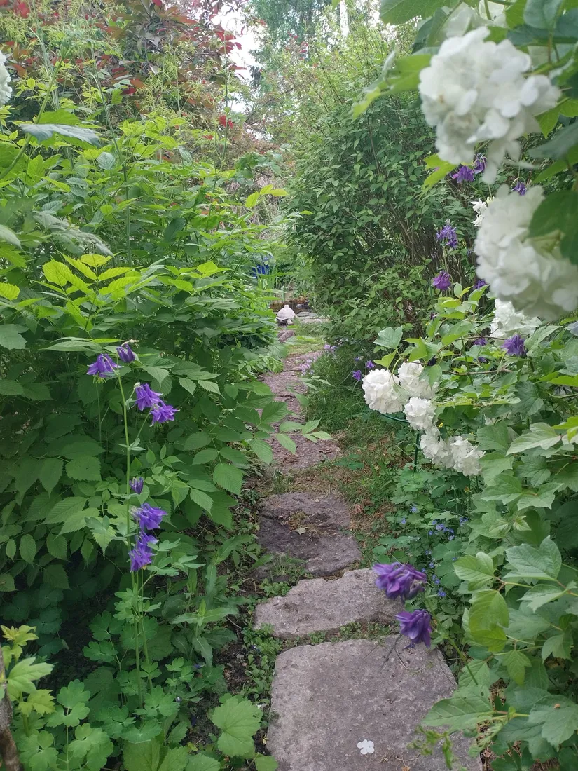 Fritidshus, Smedsmoravägen 36, Norrtälje