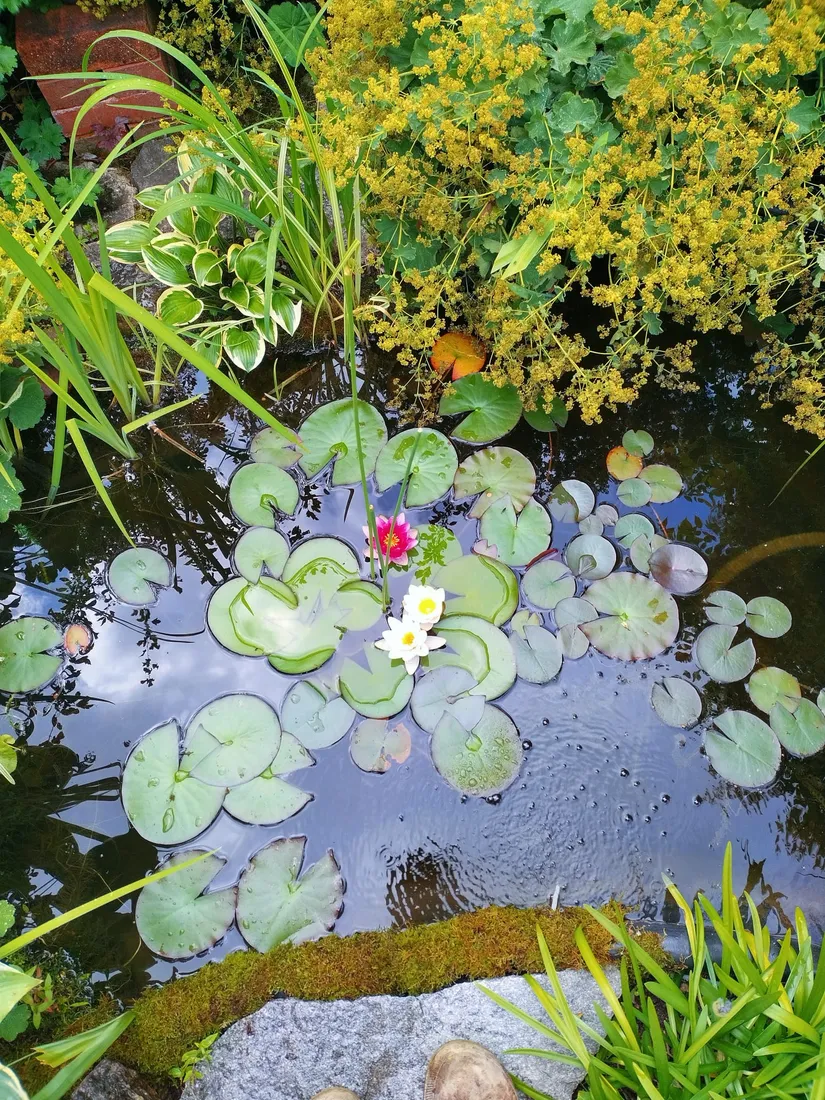 Fritidshus, Smedsmoravägen 36, Norrtälje