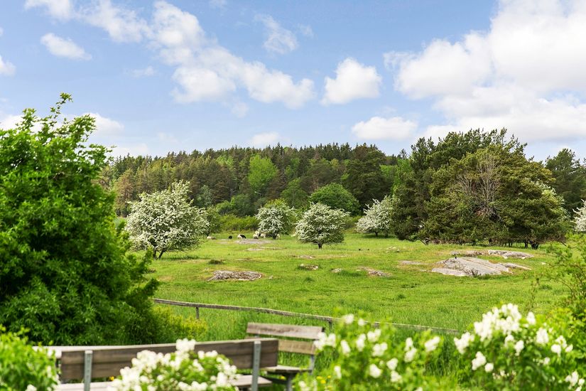 Bostadsrätt, Otto Myrbergs Väg 63E, Rickomberga - Luthagen, Uppsala