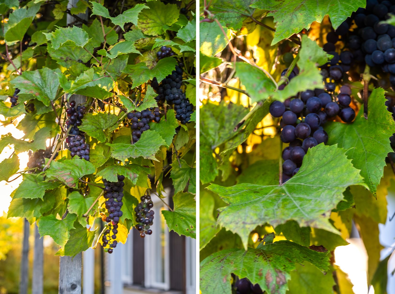 Villa, Skolvägen 23, Trollbäcken, Tyresö