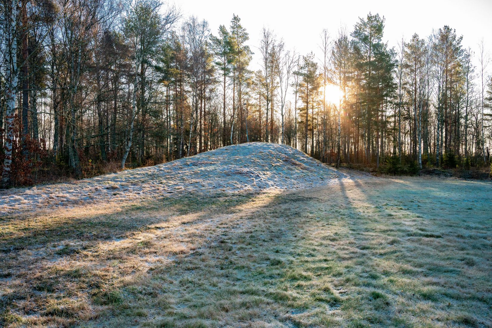 Villa, Slånbärsstigen 13, Ardala, Skara