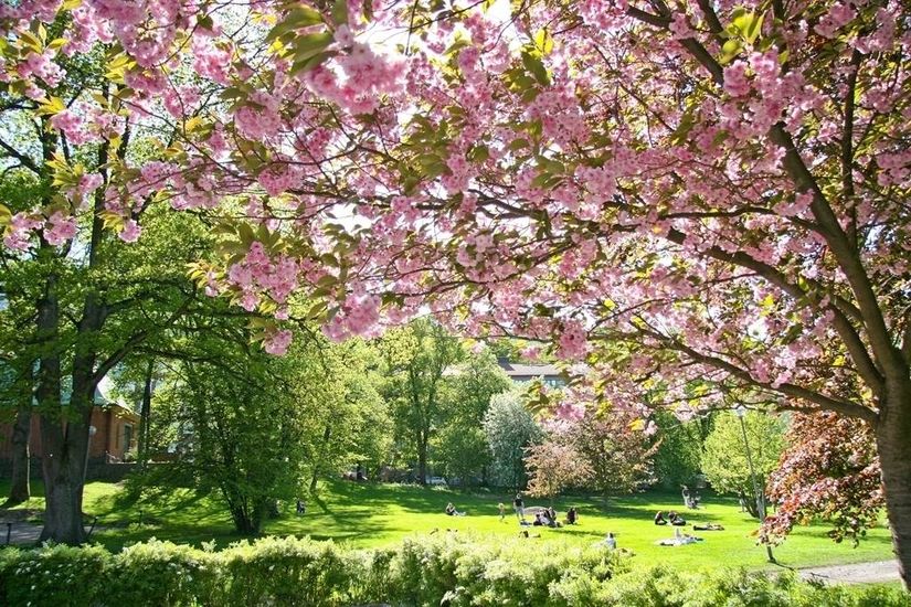 Bostadsrätt, Stenkastsgatan 7, Flatås, Göteborg