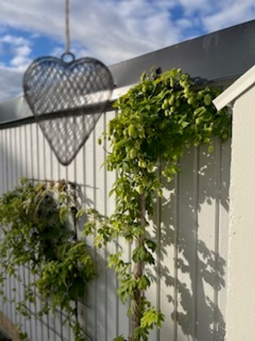 Bostadsrätt, Diamantstigen 18, Tibblehöjden - Kungsängen, Upplands-Bro