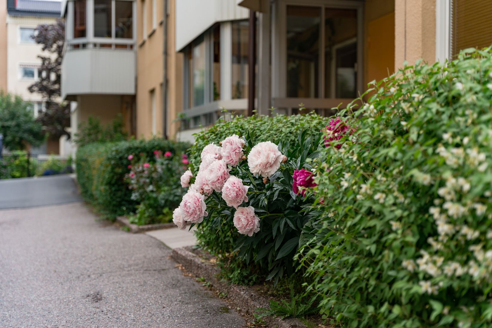 Bostadsrätt, Storgatan 22A, Centrum Uppsala, Uppsala