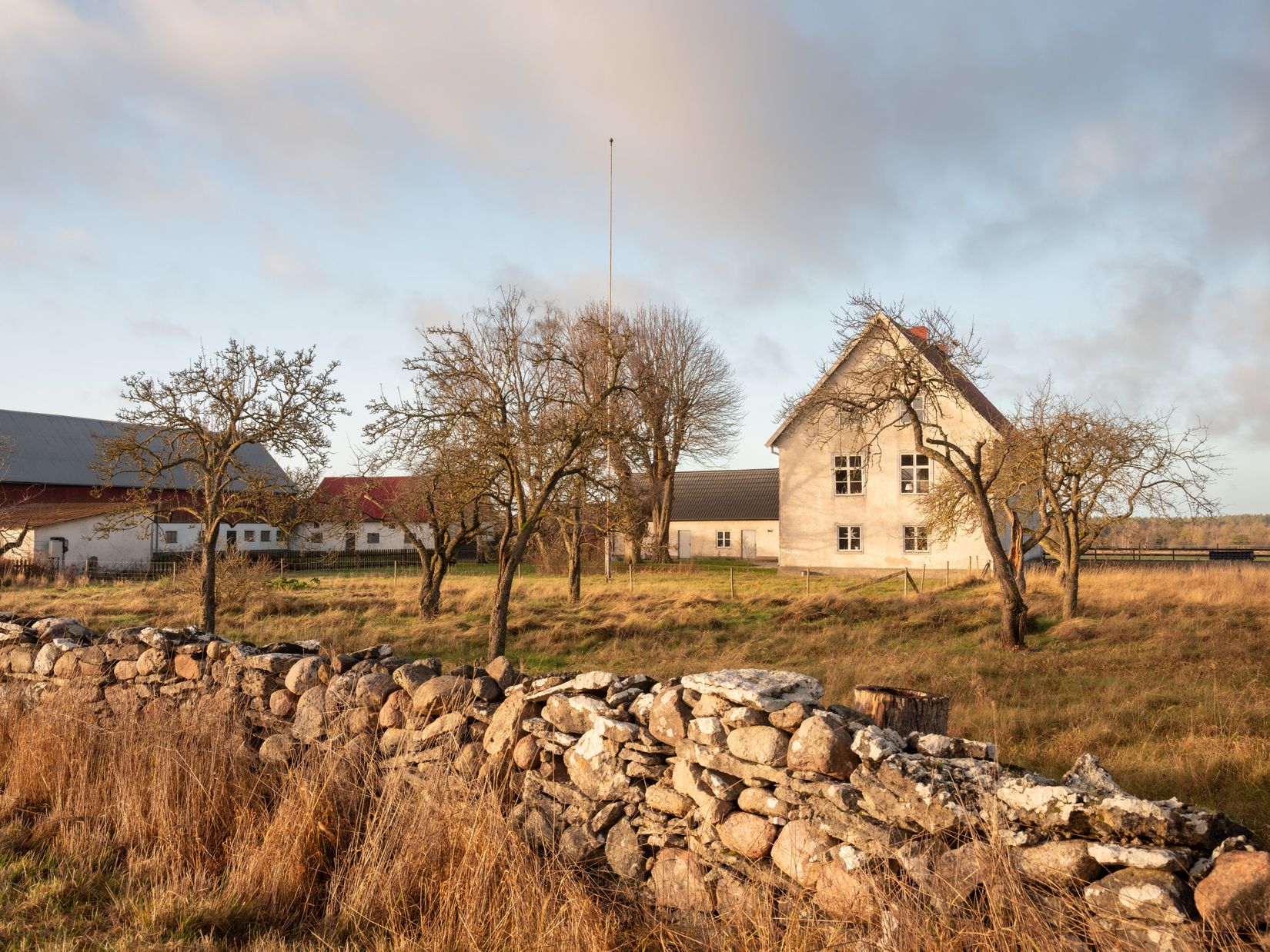 Gård/Skog, Fröjel Puser 756, Fröjel, Gotland