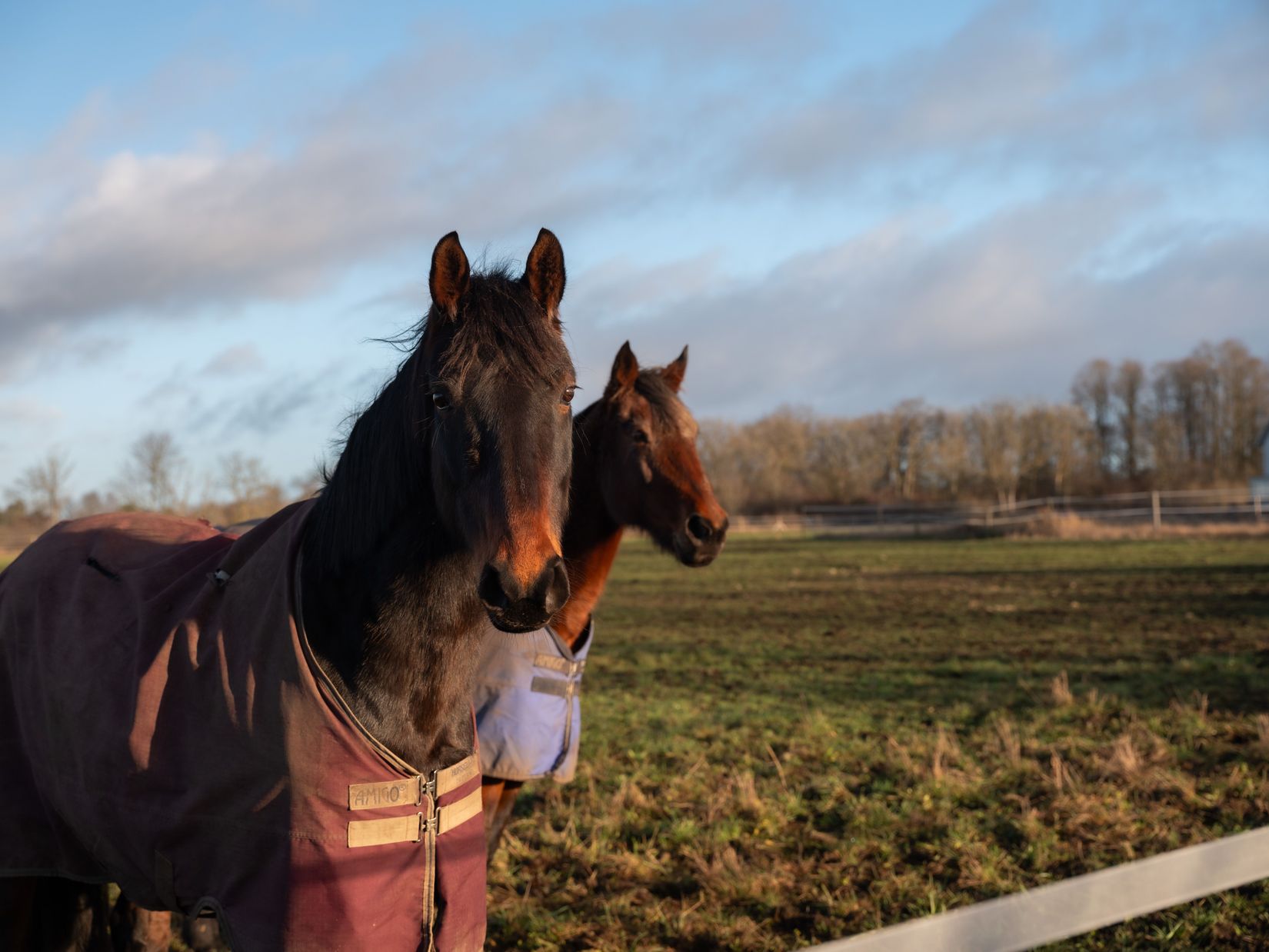 Gård/Skog, Fröjel Puser 756, Fröjel, Gotland