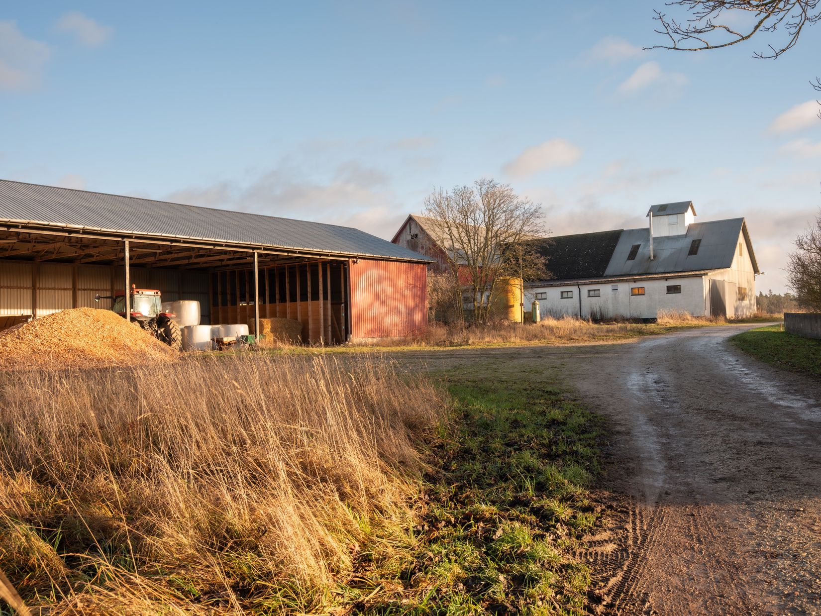 Gård/Skog, Fröjel Puser 756, Fröjel, Gotland