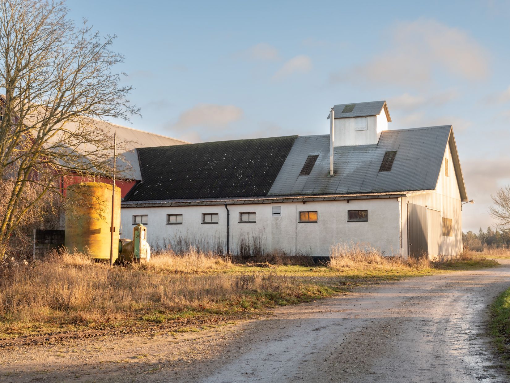 Gård/Skog, Fröjel Puser 756, Fröjel, Gotland
