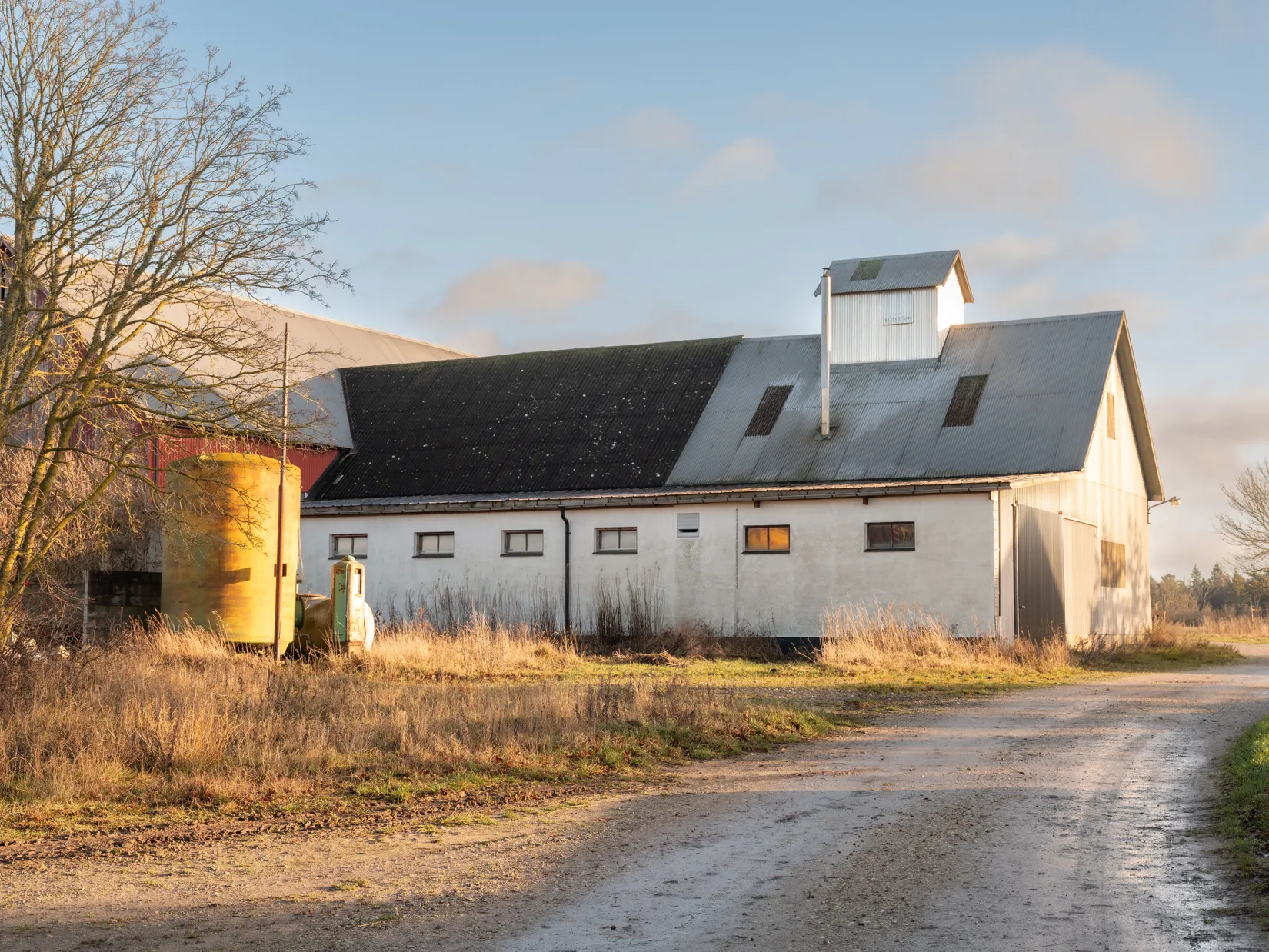 Gård/Skog, Fröjel Puser 756, Fröjel, Gotland