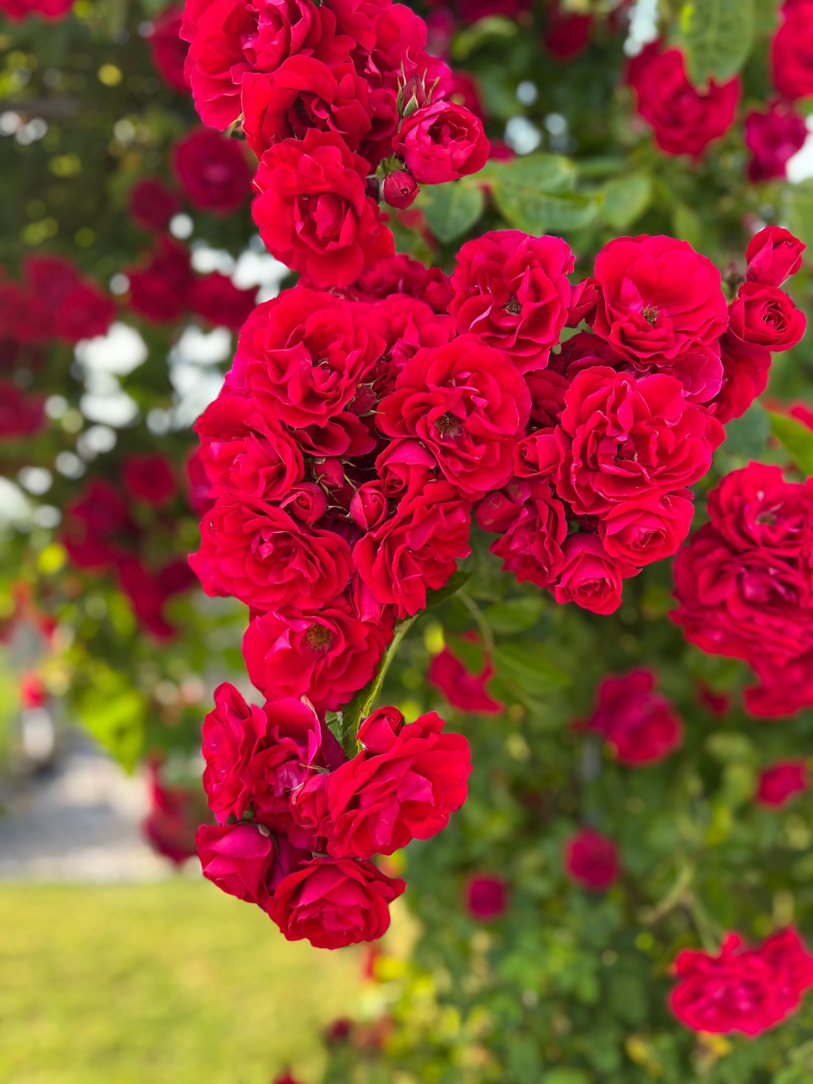 Villa, Sörbyvägen 19B, Sörby, Ronneby