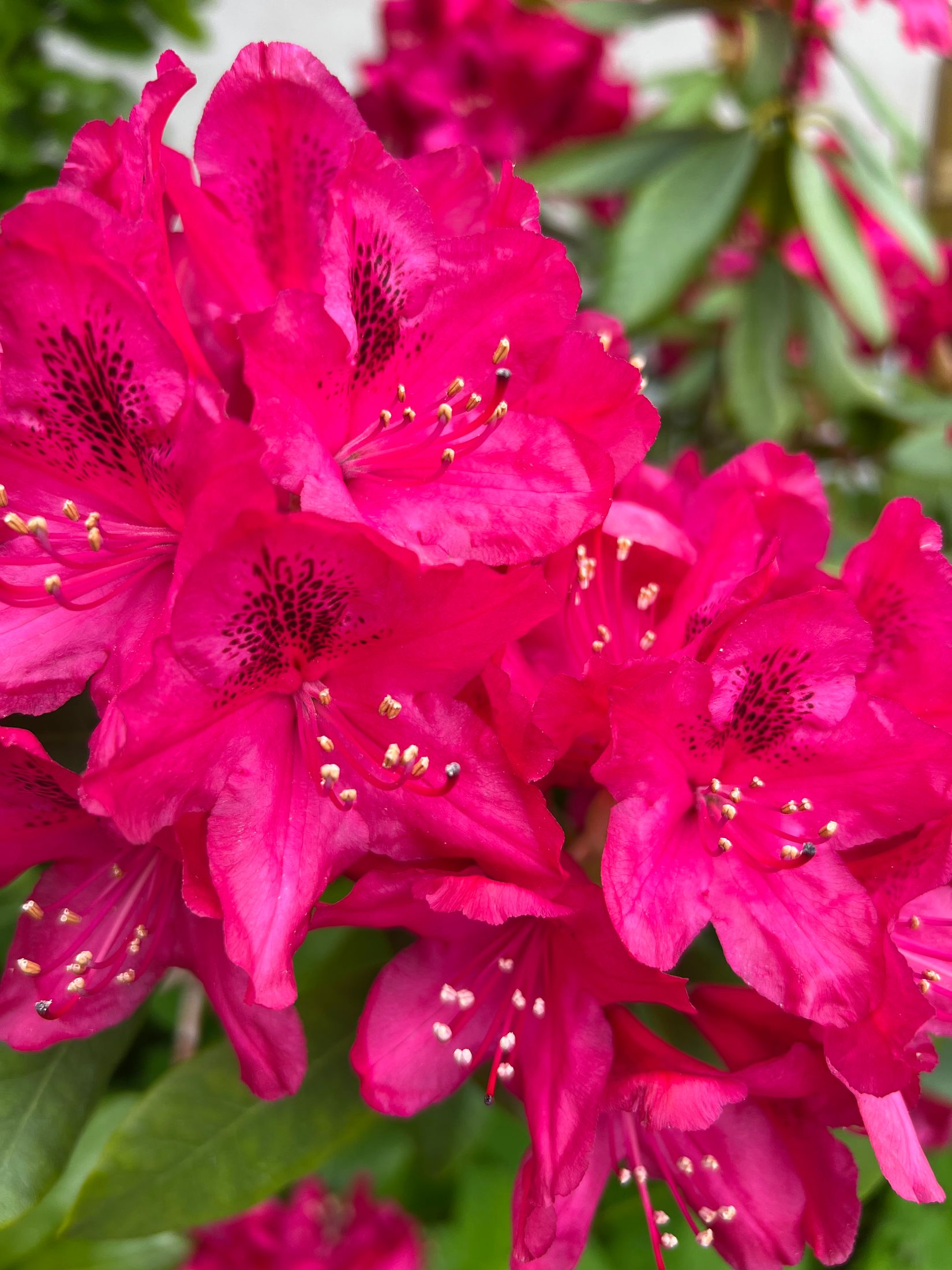 Villa, Sörbyvägen 19B, Sörby, Ronneby