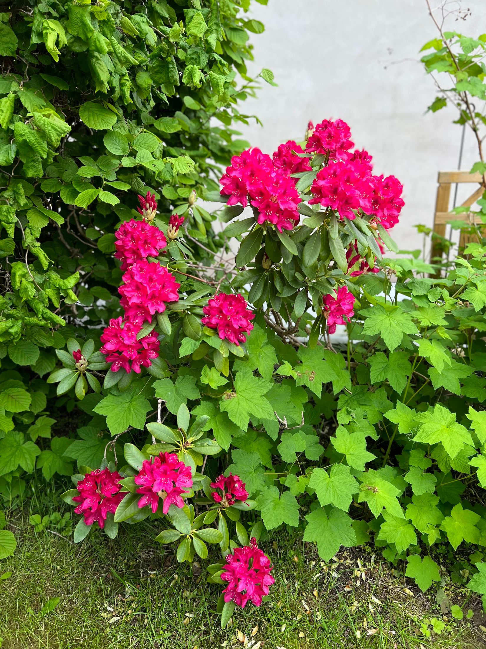 Villa, Sörbyvägen 19B, Sörby, Ronneby