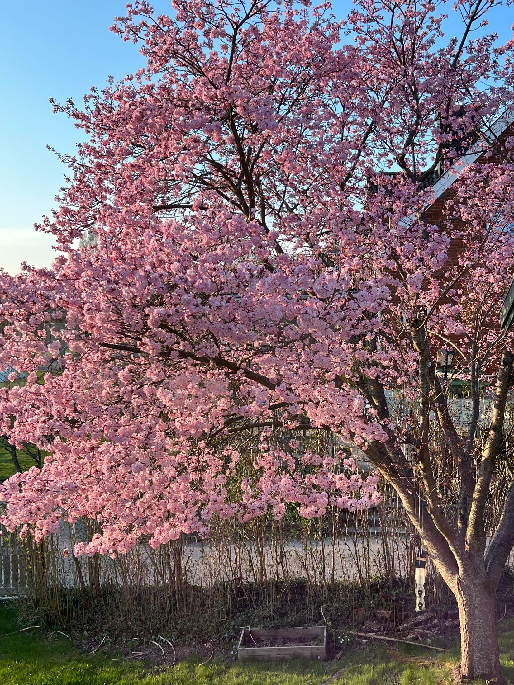 Villa, Sörbyvägen 19B, Sörby, Ronneby