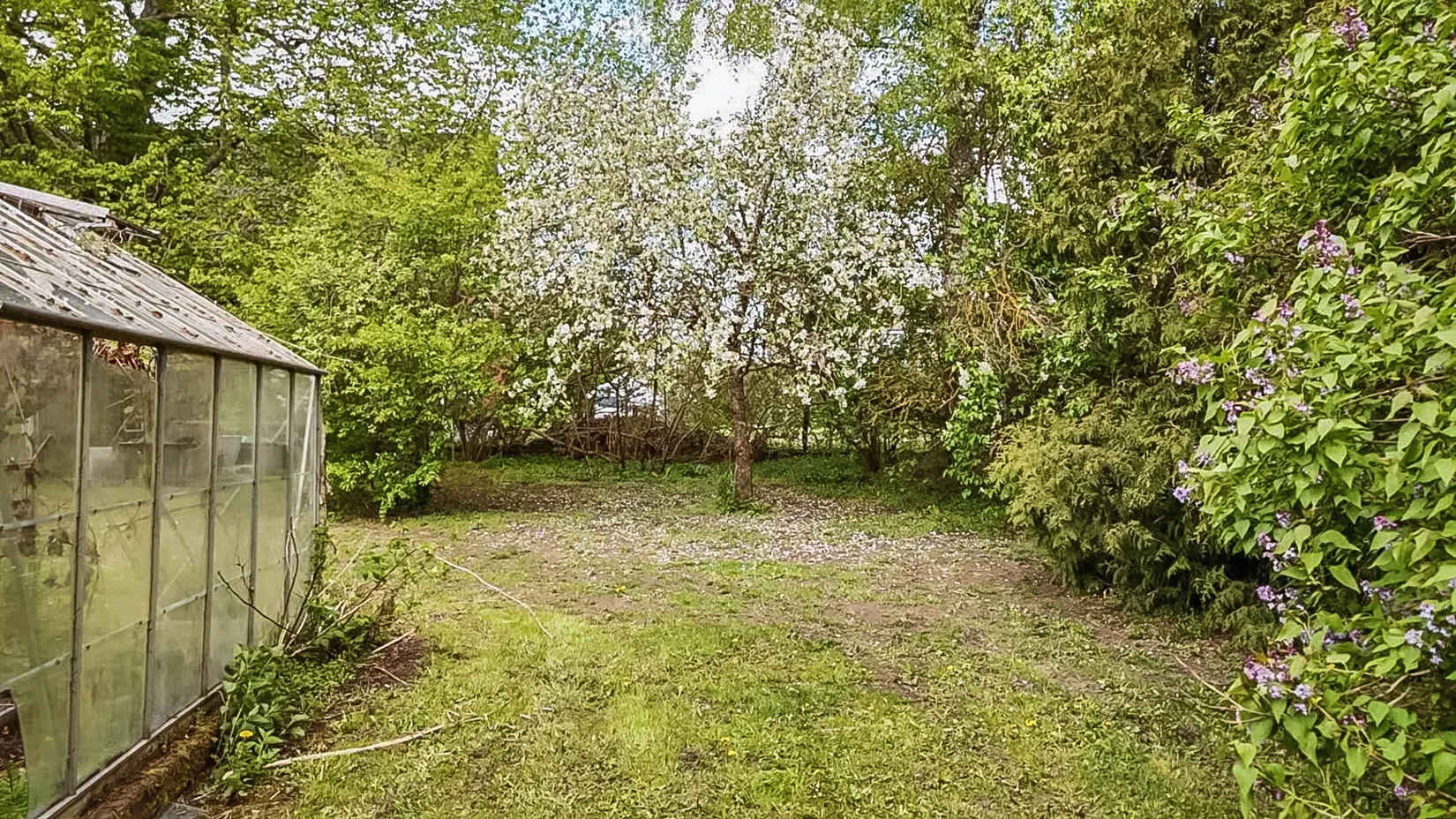 Villa, Gård/Skog, Hjärsåslilla Ainedal 855, Knislinge, Östra Göinge
